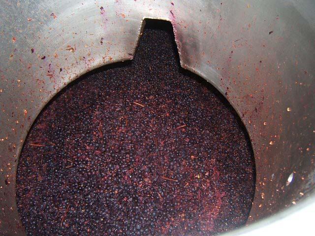 33.JPG - La fermentation alcoolique des vins rouges se fait pendant la macération. Au fil des jours une grande partie des jus se sépare du marc.