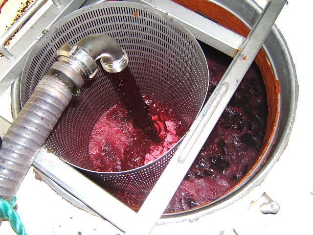 40.JPG - Pour les vins rouges, après 10 à 25 jours de cuvaison, on pratique l'écoulage qui consiste à récupérer tous les jus libres, pour pouvoir ensuite vider le marc.
