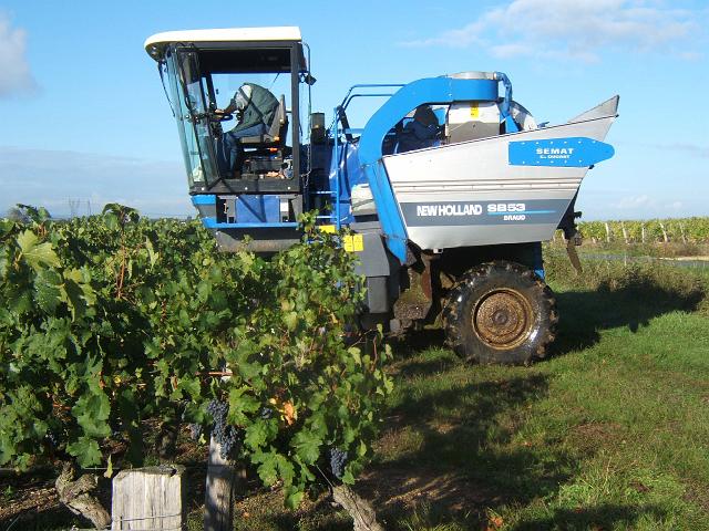 001.JPG - La machine à vendanger est désormais présente dans la plupart des vignobles.