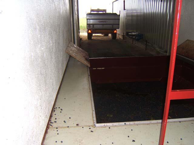 01.JPG - Les remorques qui arrivent de la vigne sont vidées dans le conquet de réception.