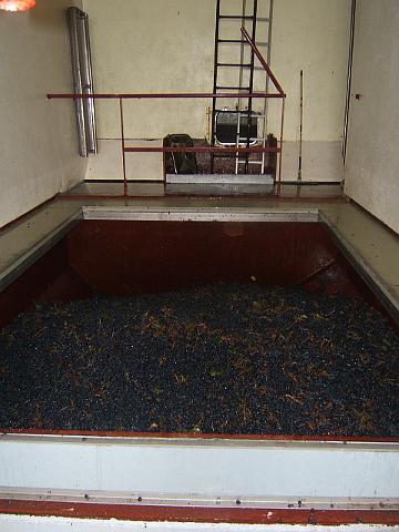 04.JPG