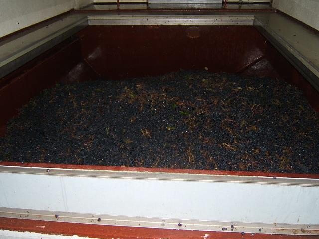 05.JPG