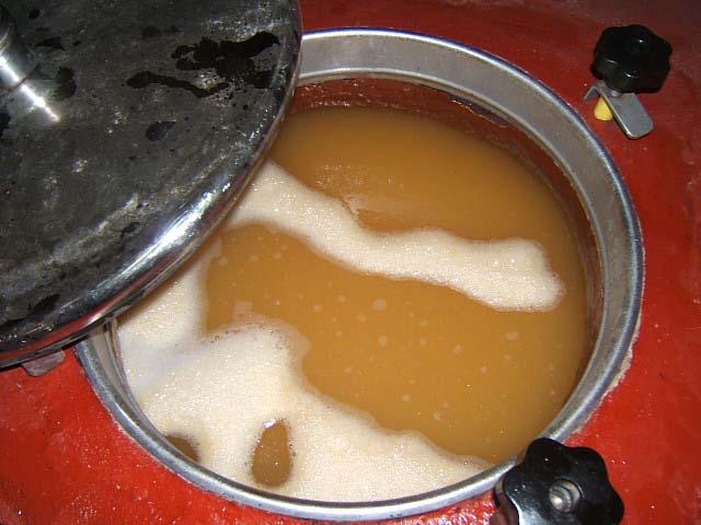 30.JPG - Lors de la fermentation, les levures transforment les sucres du raisin (glucose et fructose) en alcool : 17 grammes de sucre par litre produisent environ 1 degré d'alcool.