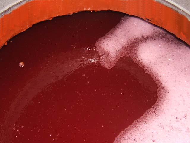 31.JPG - Durant cette phase de fermentation chacune des cuves dégage environ 40 fois sont volume en gaz carbonique, ce qui explique le perpetuel mouvement du jus en fermentation et la mousse qui se produit en surface.