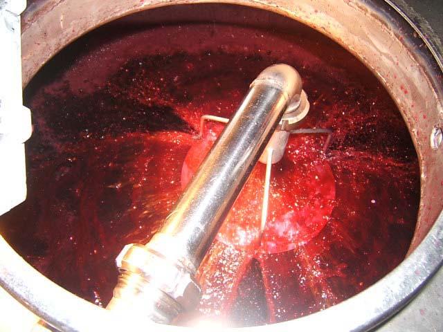 34.JPG - Pendant la macération, le marc se compacte au dessus du jus, il est alors nécessaire, de temps à autre, de pomper le jus du bas de la cuve et d'arroser le "chapeau de marc": c'est le "remontage".