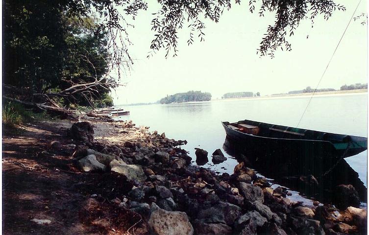 loire01.jpg - La Loire entre Angers et Saumur