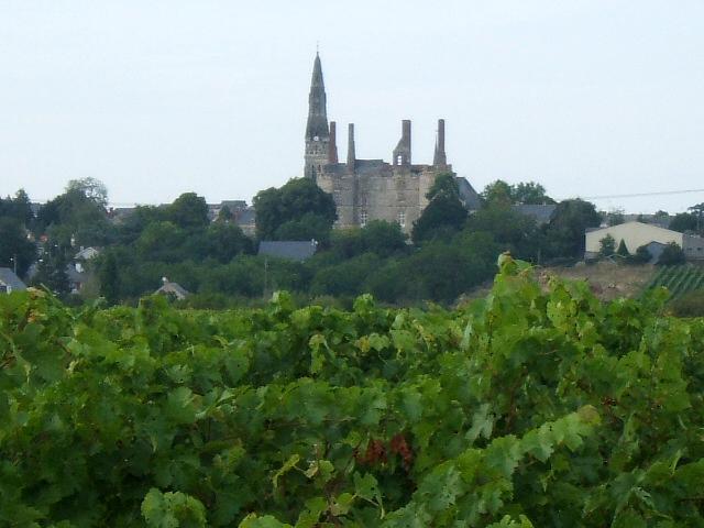 04.JPG