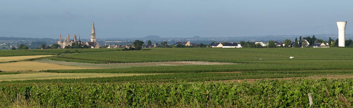 martigne.jpg - Ci-après quelques vues de Martigné-Briand et son vignoble. Pour plus d'informations et de photos sur le chateau visitez le site des "Amis du Chateau"  : http://chateaumartigne.free.fr/index.htm