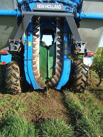 002.JPG - La Machine à vendanger enjambe le rang